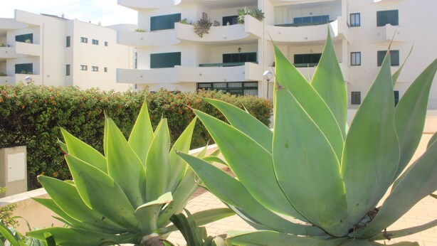 A modern multi-story building with balconies, surrounded by large green plants. - The Shell House (Manta Rota)