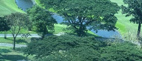 Apartment, 1 Bedroom, Private Pool, Garden View | Exterior