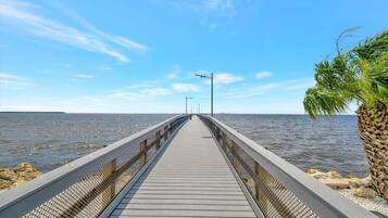 Un muelle de madera se adentra en aguas tranquilas, con cielo despejado y una palmera a la derecha.