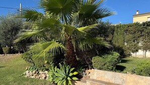 A palm tree in a landscaped garden with a stone wall and a grassy area. - Villa Vora a mar in Calafell (Calafell)