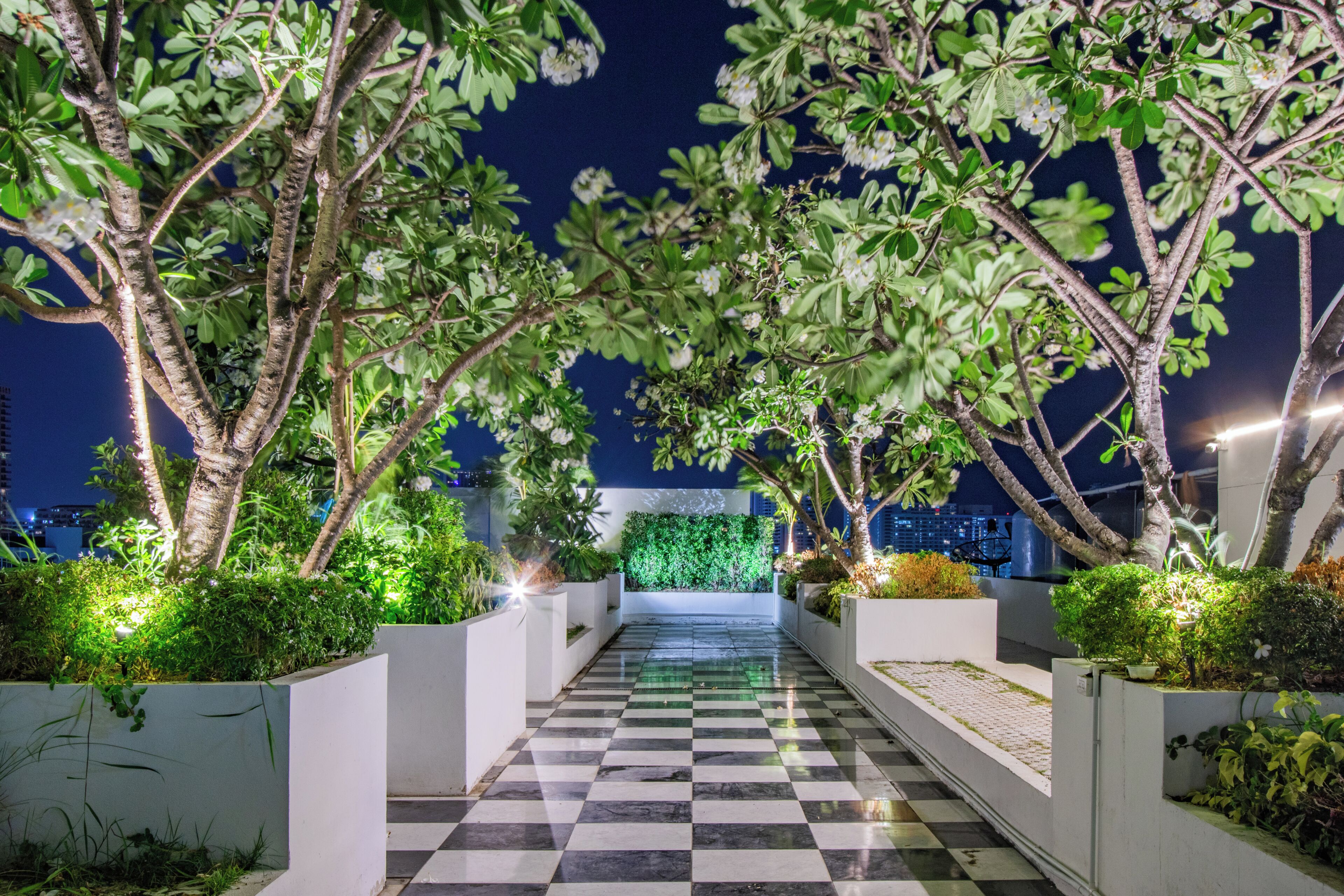 A nighttime outdoor pathway with a checkered floor, surrounded by greenery and white planters.