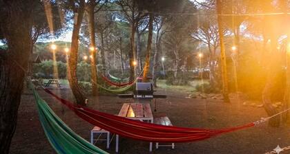 Charming cottage in the Pinar de Roche - Relax & Beach