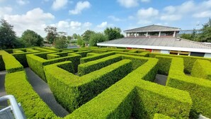 Pensasaitojen muodostama labyrintti, jonka taustalla näkyy rakennus.