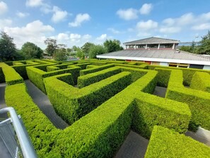 Enceinte de l’hébergement