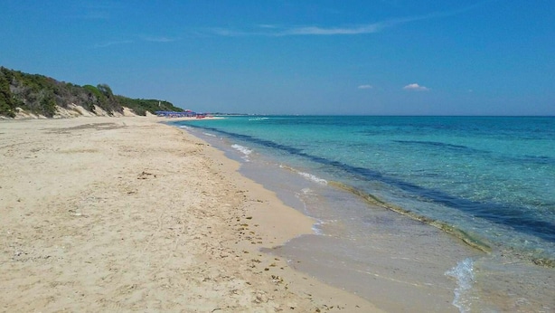 A beach with clear blue water, sandy shore, and some vegetation on the left. - Villa Sofia (Manduria)
