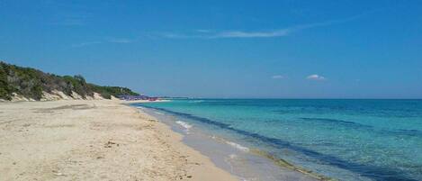 Vue sur la plage/l’océan