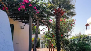 A covered outdoor area with a pergola, flowering plants, and a palm tree. - Villa Sofia (Manduria)