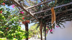 A covered outdoor area with a pergola, a palm tree, and various plants and flowers. - Villa Sofia (Manduria)