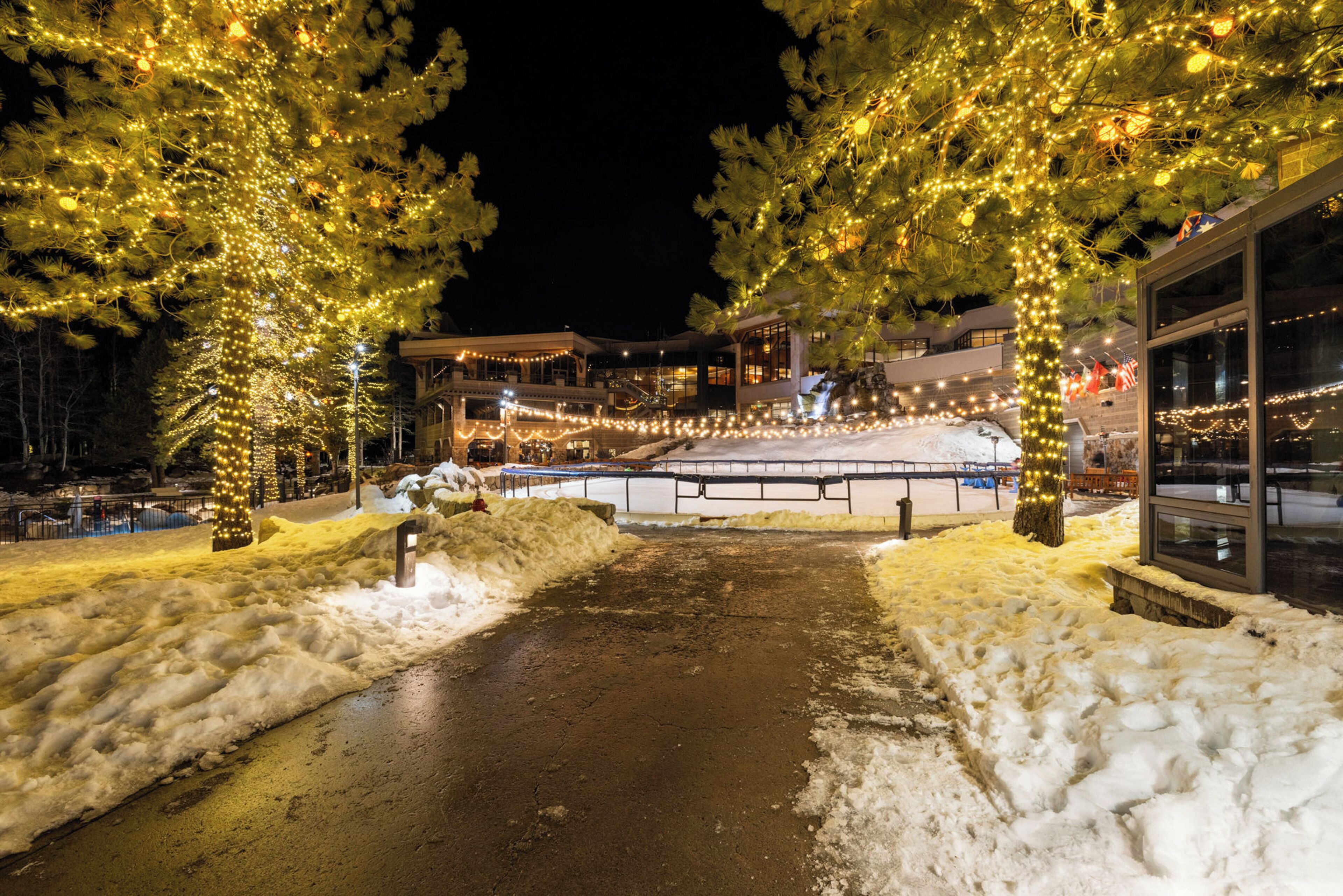 Un sendero cubierto de nieve que lleva a un edificio con árboles iluminados y fachada de vidrio.