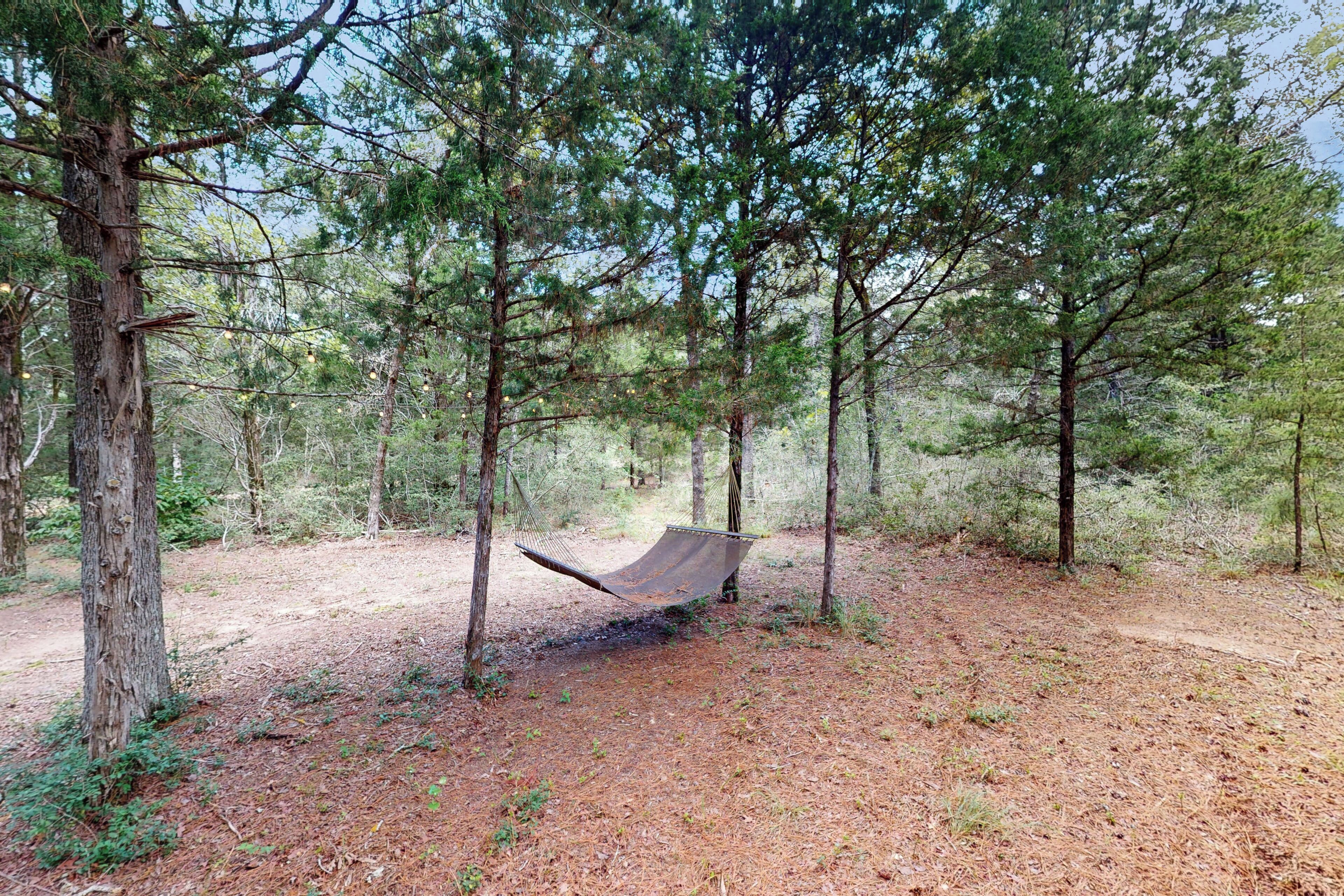 Una hamaca en un área boscosa con árboles y un sendero de tierra.