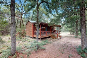 House (1 Bedroom) | Interior