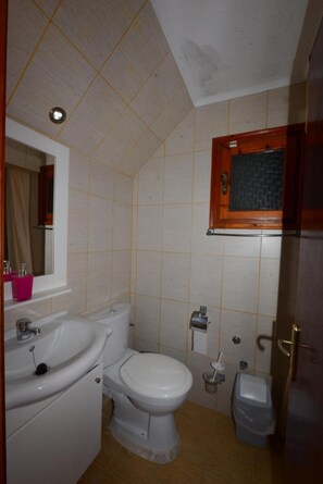Douche, serviettes fournies