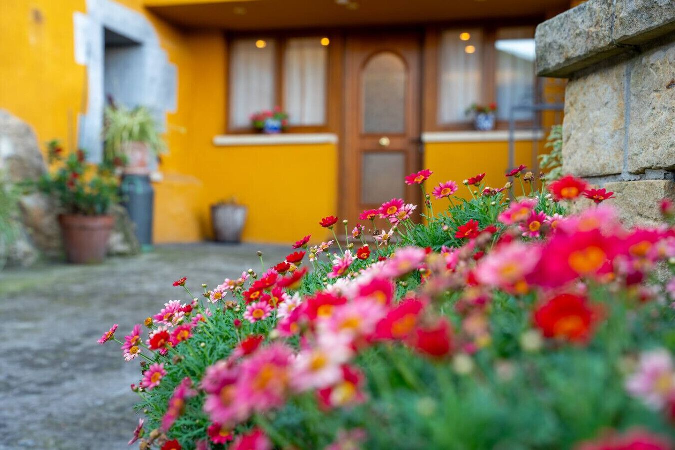 Detalle del exterior