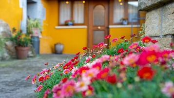 Detalle del exterior