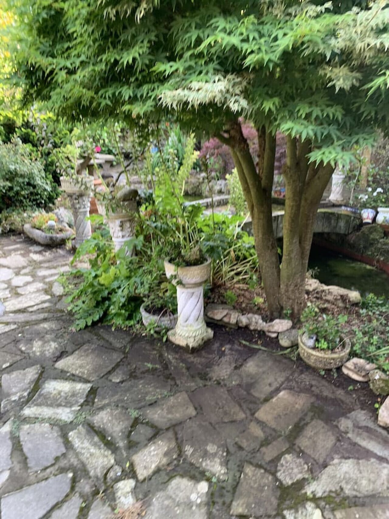 Terrein van de accommodatie