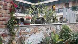 Un cortile con piante in vaso, un muro in pietra e un edificio con balconi.
