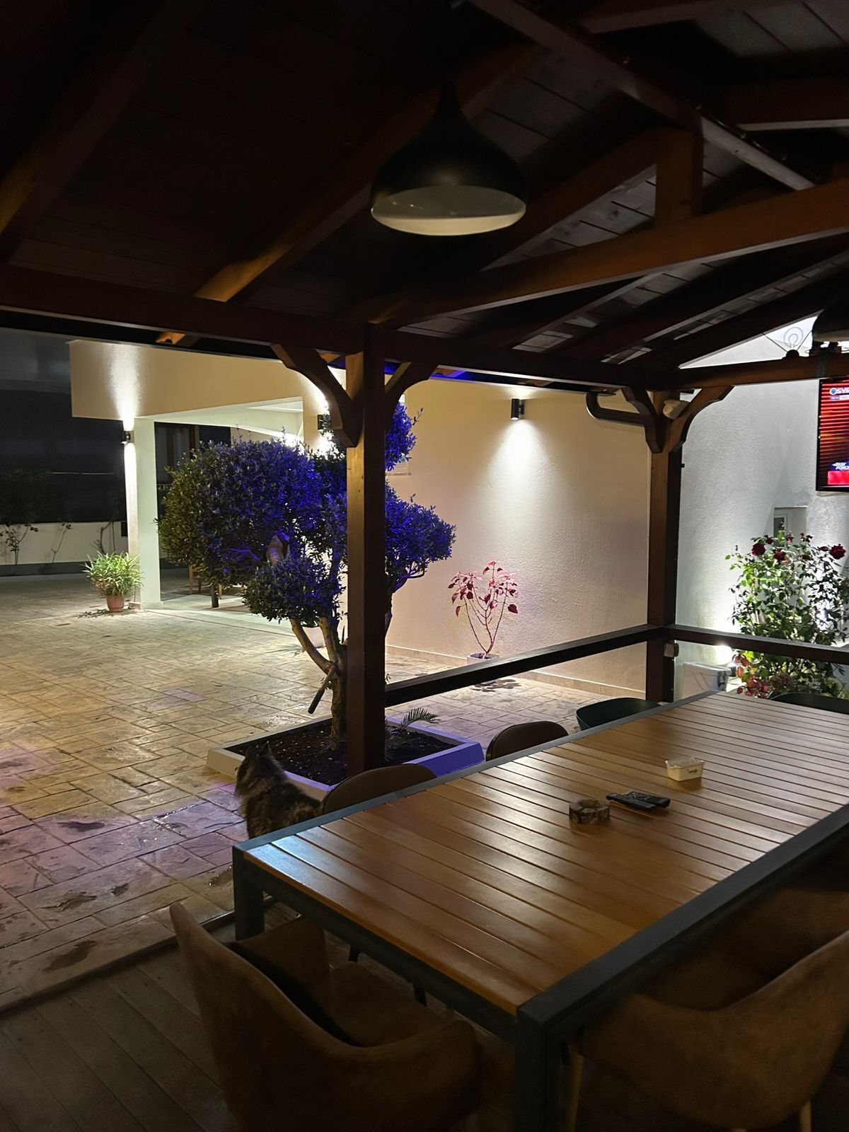 屋外ダイニングエリア