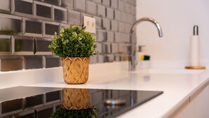 Eine Küche mit modernem Design, inklusive einer Edelstahl-Spritzschutzwand, eines eingebauten Kochfelds und eines kleinen Topfpflanzens auf der Arbeitsplatte.