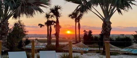 獨棟房屋, 多間臥室 | 露台/庭院