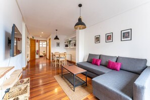 TV - central street apartment (Santander)