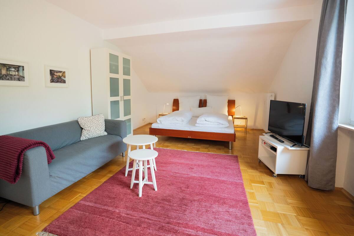 Ein Schlafzimmer mit Bett, Fernseher, Sofa, einem kleinen Tisch und einem roten Teppich.