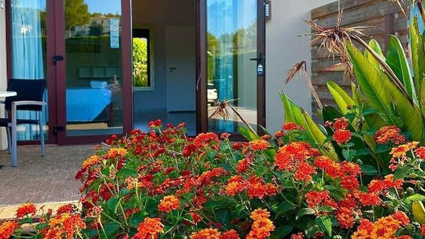 Ingresso di un hotel con porta in vetro, area patio con fiori rossi e vista sull'interno.