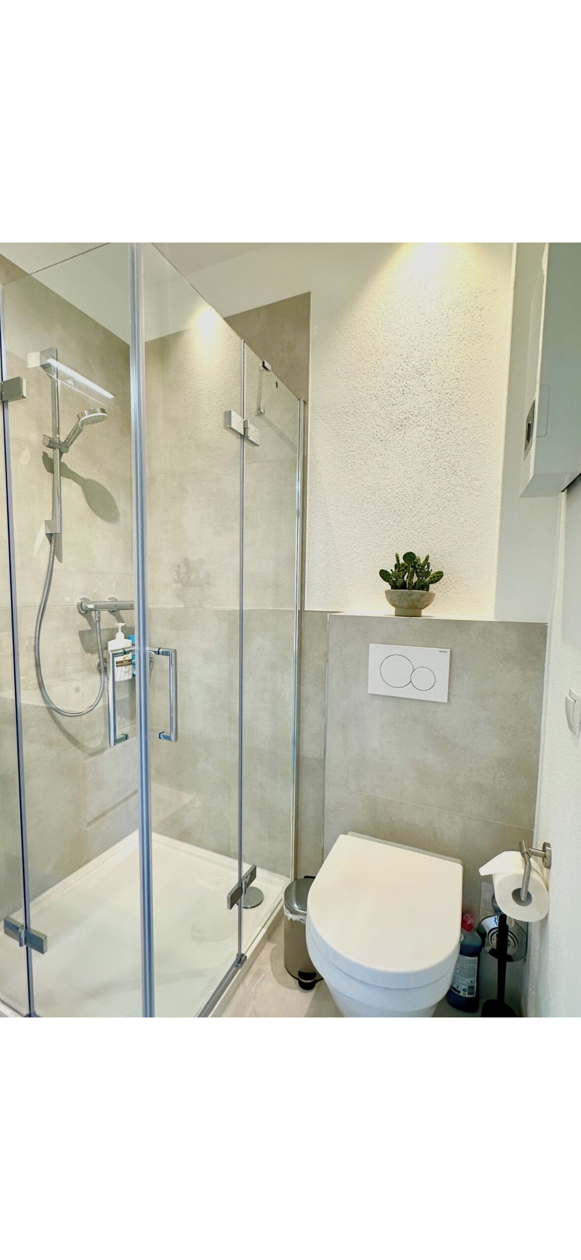A modern bathroom with a glass-enclosed shower, a toilet, and a small potted plant.