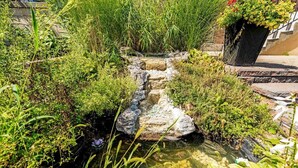 A small water feature with a stone structure, surrounded by lush greenery and a flower pot on the right. - Charming riverside cottage (Wasaga Beach)