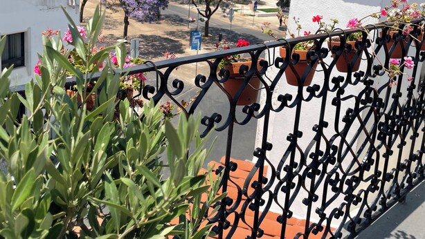 Ein Balkon mit schmiedeeisernem Geländer, Blumentöpfen und Blick auf die Straße sowie Gebäude im Hintergrund.