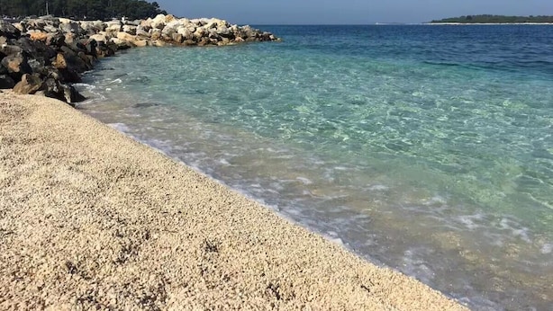 Uma praia de pedras com água cristalina, um paredão rochoso e uma massa de terra coberta por árvores ao longe.