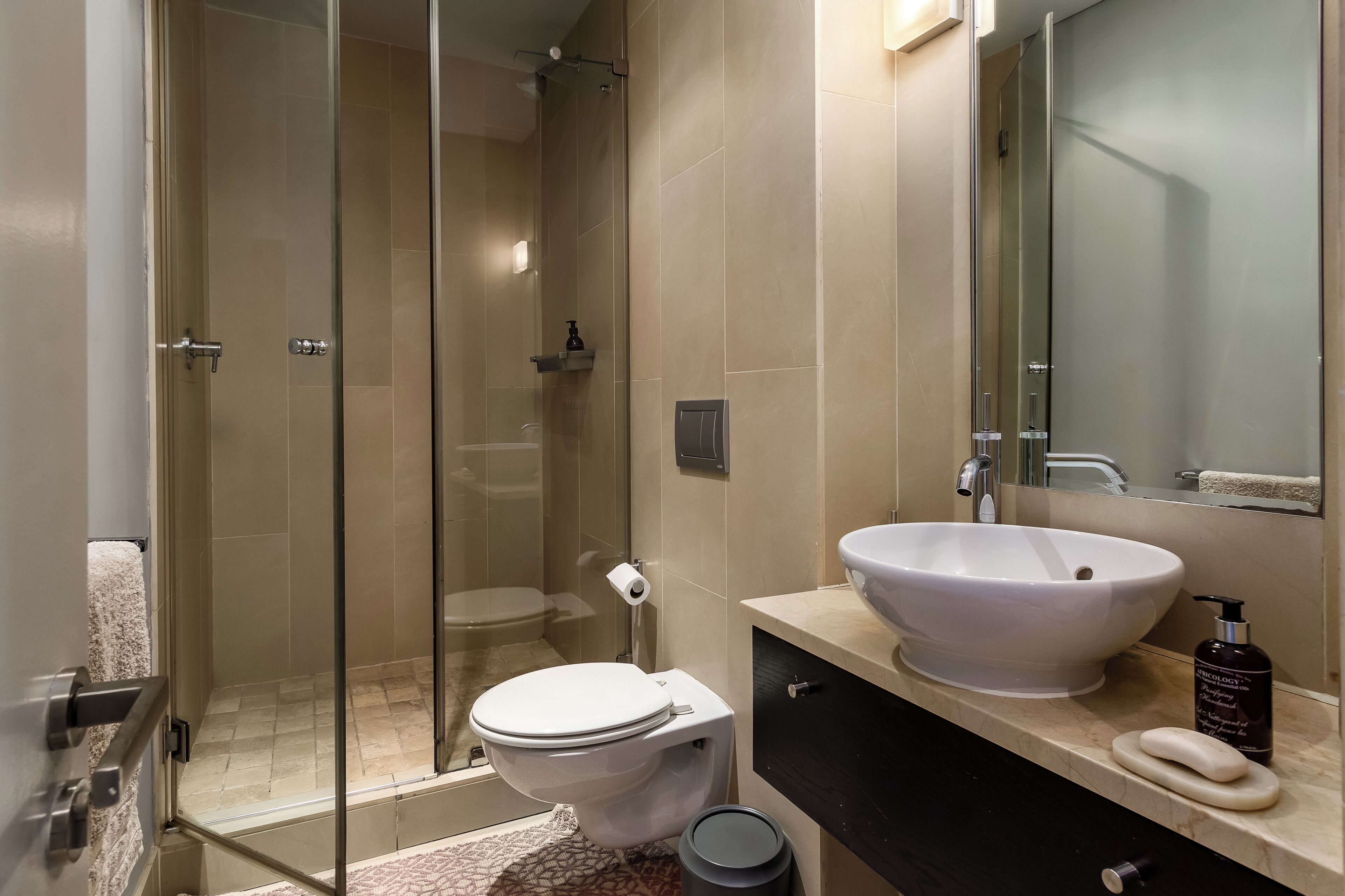 Une salle de bain moderne avec une douche à parois de verre, un lavabo blanc et un miroir au-dessus du lavabo.