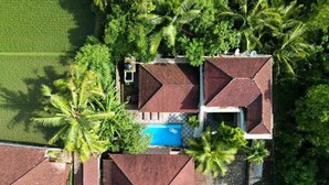 Un barrio residencial con varias casas, una piscina y abundante vegetación, incluyendo palmeras.