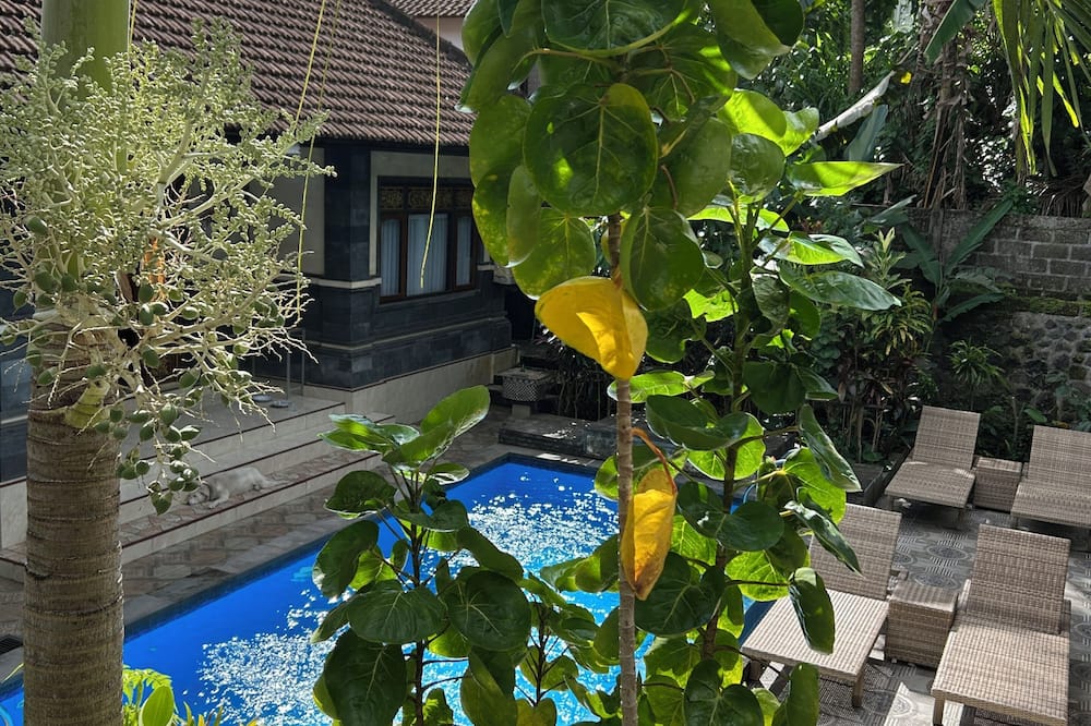 balimas guest house