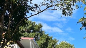 En byggnad med en balkong, omgiven av träd och en klar himmel.