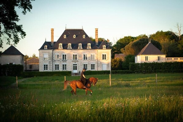 Exterior - Domaine de la Briouse (Sanxay)