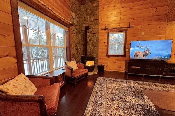 Smart TV, chimenea, reproductor de DVD, libros