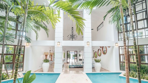Una piscina interior con un pasillo central, rodeada de altas palmeras y plantas en macetas.