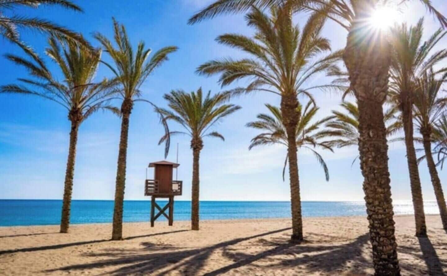 شاطئ