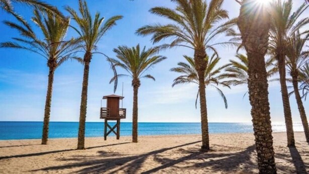 Una spiaggia con palme e una torretta di salvataggio.