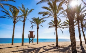 Een strand met palmbomen en een redershut.