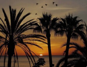 A sunset with palm trees silhouetted against the sky. - 250 meters from La Carihuela Beach, Refurbished (Torremolinos)