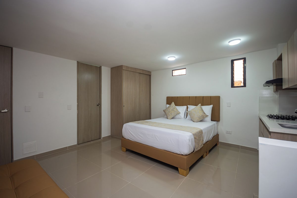 A bedroom with a bed, a wardrobe, and a kitchenette.
