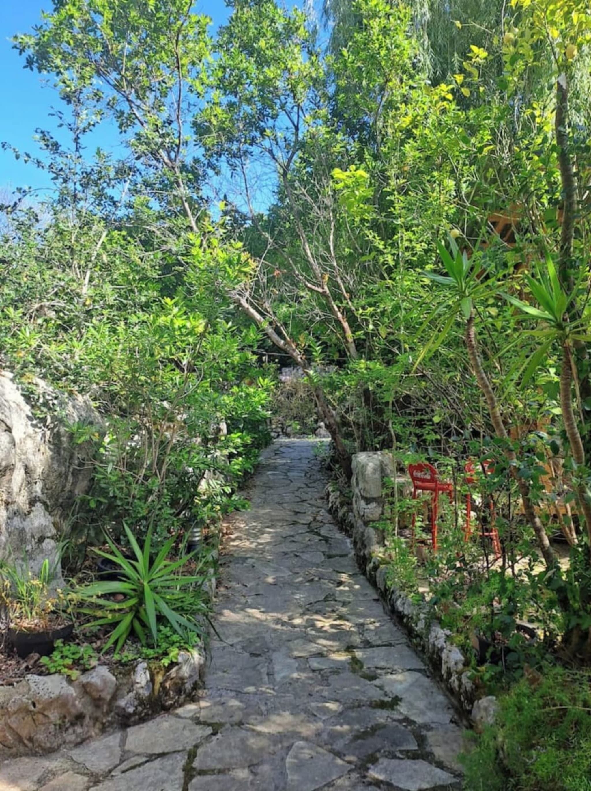 Terrein van de accommodatie