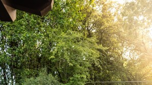 A wooden bridge with metal railings leading to a stone building surrounded by trees. - Inspiring Loft in the forest. Armonía Natura House (Camargo)