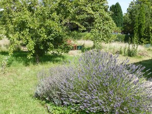 Property grounds - Apartment "Haus Achterwiek – Holiday Apartment" with Shared Terrace, Garden & Wi-Fi (Wolgast)