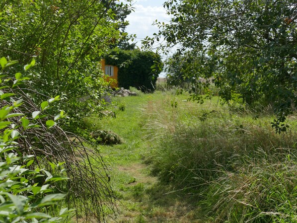 A natural landscape with a path leading to a yellow building.