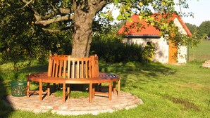 A bench under a tree with a small building in the background. - Haus Achterwiek – Apartment with Private Terrace (Wolgast)