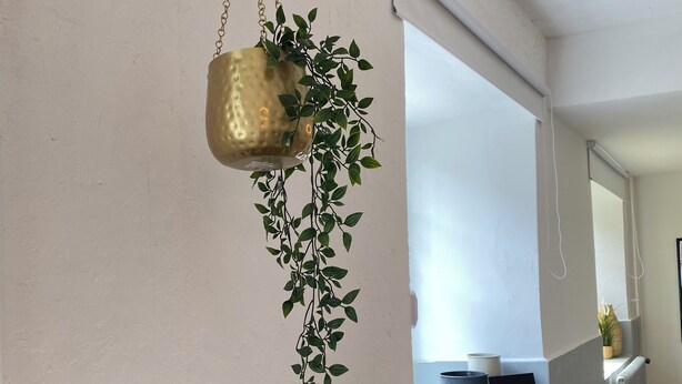 A modern interior with a hanging plant, a black shelf with a gold container, and a window with a view.
