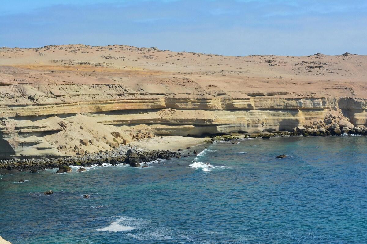 Image de profil de l’hôte