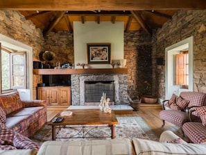 TV, fireplace